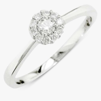18ct white gold round diamond cluster ring. Total diamond weight 0.33ct.